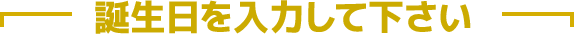 誕生日を入力してください